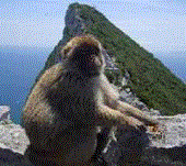 Gibraltar