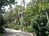 Costa blanca